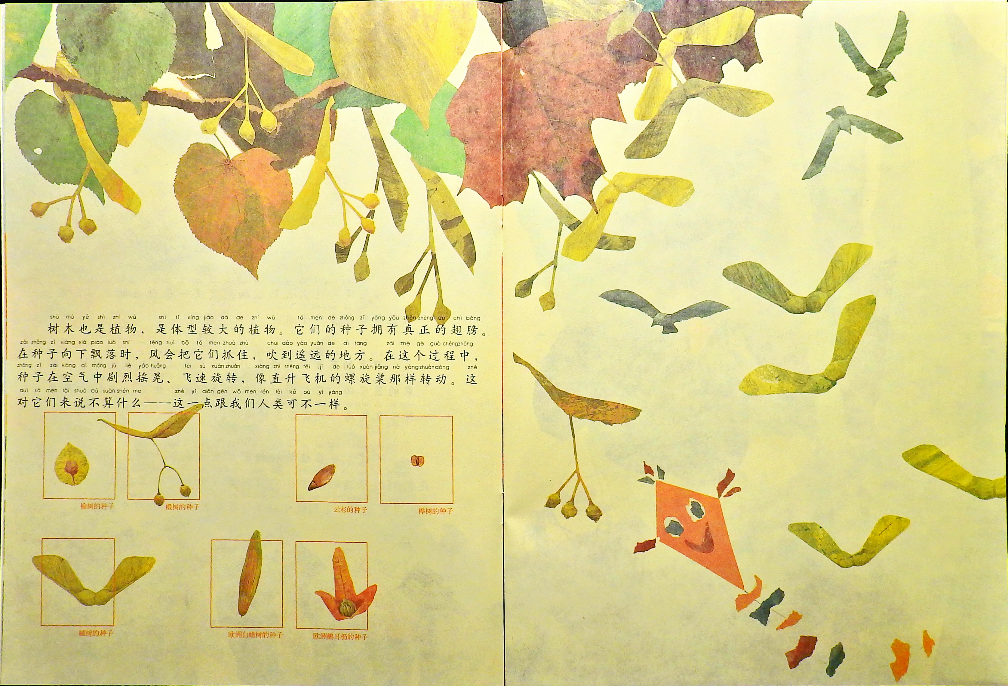 一粒种子的旅行 (07),绘本,绘本故事,绘本阅读,故事书,童书,图画书,课外阅读